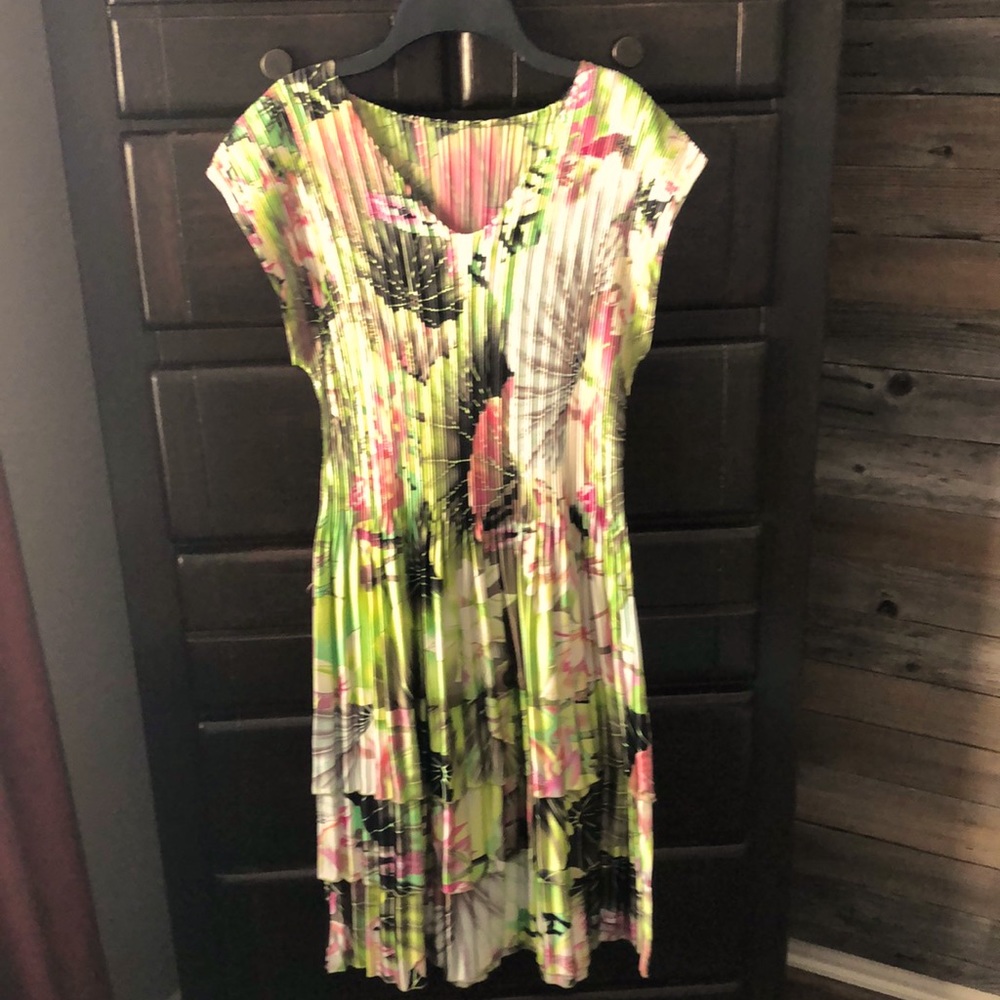 Woman’s dress in beautiful colors worn to wedding only once